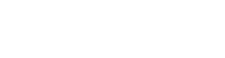 Item 1